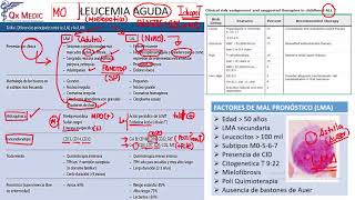 Leucemias Agudas [upl. by Anitteb]