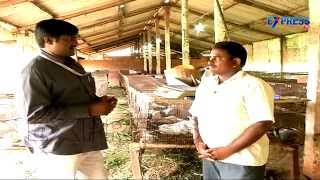 Success Story Of Rabbit Farming By Nadendla Brahmaiah  Express TV [upl. by Fiden276]