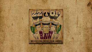 ZZ Top  La Grange Official Audio [upl. by Anigal]