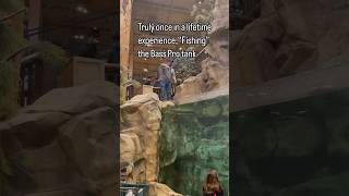 Once in a lifetime experience  “Fishing” the tank at Bass Pro Shops [upl. by Romy240]