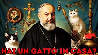 Perché Padre Pio ha parlato di queste profezie per chi ha gatti in casa [upl. by Lerual]