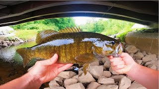 Catching Smallmouth Bass Under A HIGHWAY NY Fishing [upl. by Nika]