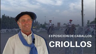 Más allá de la tranquera  Exposición de Caballos Criollos [upl. by Ateekram]