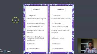 Prokaryotes vs Eukaryotes [upl. by Lynnett393]