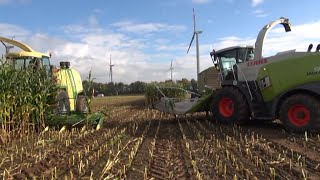 Maïs 2012  Nieuwe Claas 980 en Krone 850 op hetzelfde perceel  Maïs over bieten inkuilen  Leitner [upl. by Anaihsat139]