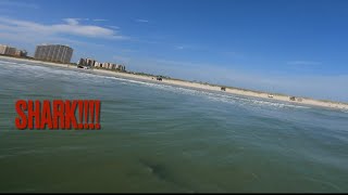 New Smyrna Beach Surfers Surrounded by Sharks [upl. by Pearson]