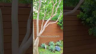 DIY Wall Cladding Projects garden backyard wallpanel cladding decoration wall mexytech diy [upl. by Lachlan963]