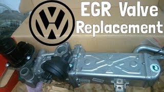 Volkswagen EGR Valve Replacement  How To [upl. by Etnauq6]