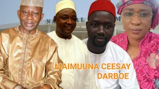 BINTA JAMMEH amp SOME UDP SUPPORTER RESPOND TO MAIMUUNA CEESAY DARBOE [upl. by Downs]