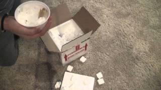 Leucistic Albino Lubino Red Eared Slider Unboxing [upl. by Kellyn525]