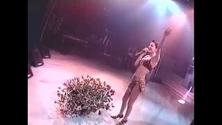 Ceca  Beograd  LIVE  Pionir 1995 [upl. by Jennette]