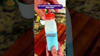 Bathroom Smell Solution with One Bottle bathroomhacks freshhometips diycleaning [upl. by Eekaz]