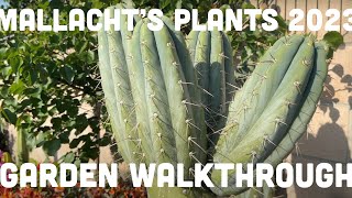 Mallachts Plants 2023 Garden Tour Rare Trichocereus Cactus Carnivorous Plants Air Plants amp More [upl. by Yvad212]