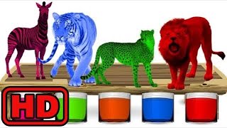 Kid Kids Wild Animals Bathing Colors Fun  Colors for Children to Learn with Wild Animals [upl. by Linea]