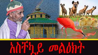 live አስቸኳይ መልዕክት [upl. by Vish]