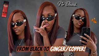 Dying My Natural Hair from Black to Ginger 🍂  NO BLEACH  Step by Step  Loreal HiColor🧡 [upl. by Stepha]