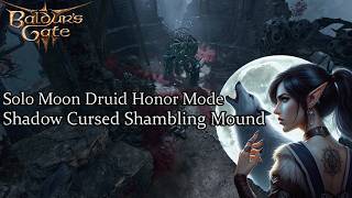 Solo Moon Druid Shadow Cursed Shambling Mound Honor Run [upl. by Inoj]