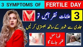 3 Symptoms Can Make You Pregnant in 24 Hours 3 Symptoms Of Fertile Day Egg Rupture Symptoms [upl. by Eillib]