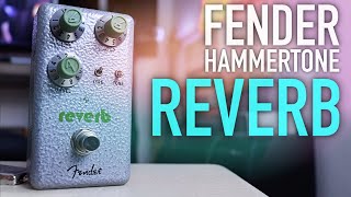 Fender Hammertone Reverb  Great Reverb at a GREAT Price [upl. by Arrik]