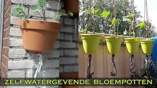 DIY  Zelfwatergevende bloempotten met petfles [upl. by Wilinski]