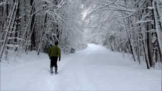 First day of Spring at Northwood Meadows State Park [upl. by Douville]