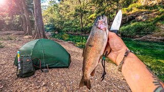 Solo Camping amp Mountain Fly Fishing Trout Catch amp Cook [upl. by Nerval]