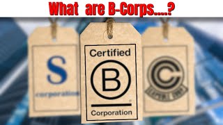 What is a B Corporation BCorp [upl. by Emolas]