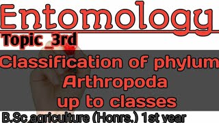 Classification of phylum arthropoda  phylum arthropoda classification in hindi  phylumarthropoda [upl. by Tarfe110]