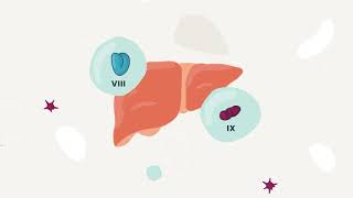 Hemophilia and Gene Therapy [upl. by Rez]