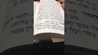 Chazan Nathan Gluck Nusach Shabbos Mincha Part 2 Mizmor Shir Lyom Hashabbos [upl. by Kistner503]