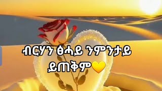 Tsehay youtube is liveብርሃንፅሓይንምንታይይጠቅም [upl. by Ethban]