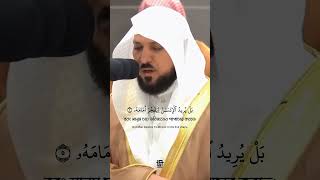 A Recitation of Surah AlQiyamah by Sheikh Maher AlMuaiqly quranrecitation islamicshorts quran [upl. by Garth]