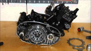 RDRZ 350 YPVS Engine rebuild [upl. by Nalyac201]