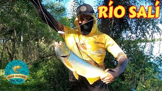 Esta Barranca Esta INFECTADA 😱 DE DORADOS Mucho Pique 💪🏼 Pesca En Chicligasta Tucuman Argentina [upl. by Adnilre]