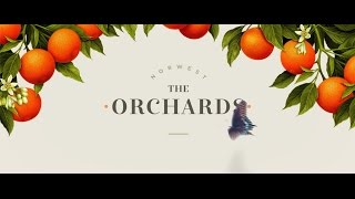 THE ORCHARDS Baulkham Hills [upl. by Yelats]