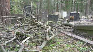 Tientallen graven vernield door omvallende boom op Zuiderbegraafplaats Assen [upl. by Carpio120]