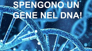 Spengono un gene difettoso senza modificare il DNA [upl. by Petrick]