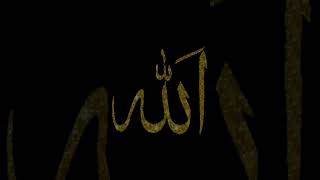 Video Allah Hu Akbar please please surprise allahhuallah love islamicchant murshid [upl. by Netsyrc]