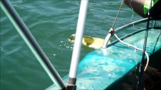 Fishing at Taung Dam [upl. by Alix]