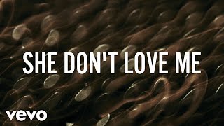 ZAYN  SHE DONT LOVE ME Lyric Video [upl. by Nyleuqcaj]