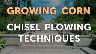 Chisel Plowing Techniques [upl. by Alegnat]