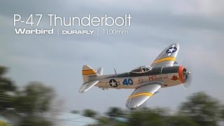 Durafly P47 Thunderbolt demo flight [upl. by Aneerak824]