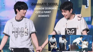 Leeknow Seungmin cute and funny moments  Stray Kids dominATE Seoul concert [upl. by Anid623]