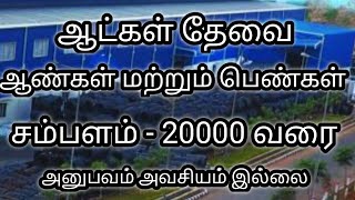 💥 Salary Upto 20000Chennai Job Vacancy 2024Today Job Vacancy In TamilChennai Jobs Today Openings [upl. by Avitzur]