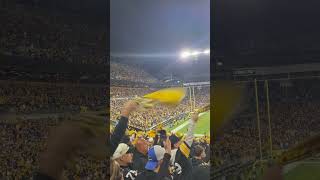 Steelers vs NYG Renegade herewegosteelers nfl steelers [upl. by Eciruam]