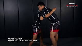 Muay Thai Clinch Grips and Sweeps [upl. by Gnet]