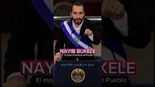 Canción a Nayib Bukele bukele canelamusic elsalvador bukelecontralaspandillas fyp parati [upl. by Ayat]