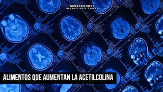 Acetilcolina Alimentos que impulsan tu producción natural de Colina [upl. by Damour726]