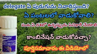 delegate uses in telugu  spinetoram 117 sc  delegate insecticide full information  Delegate use [upl. by Joung]