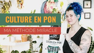 🪴 Hydroponie Passive en Pon 💦  Pourquoi et comment utiliser le Pon avec tes plantes [upl. by Adnelg]